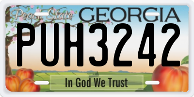 GA license plate PUH3242