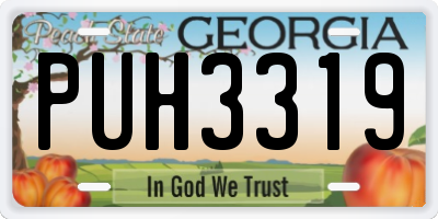 GA license plate PUH3319