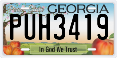 GA license plate PUH3419