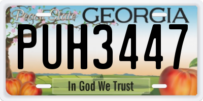 GA license plate PUH3447
