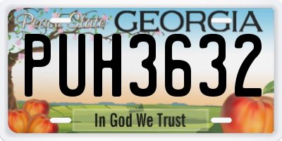 GA license plate PUH3632