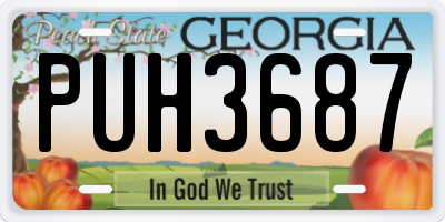 GA license plate PUH3687