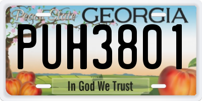 GA license plate PUH3801