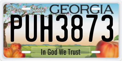 GA license plate PUH3873
