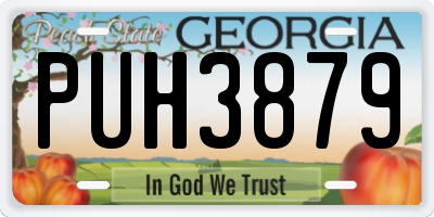 GA license plate PUH3879