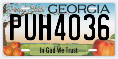GA license plate PUH4036