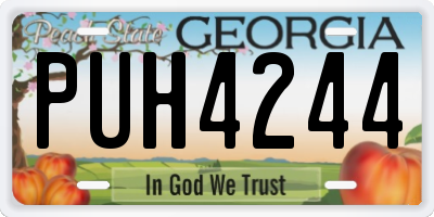 GA license plate PUH4244