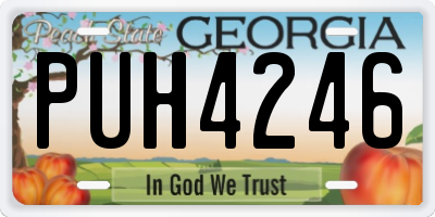 GA license plate PUH4246