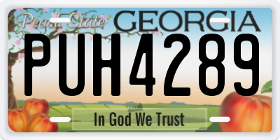 GA license plate PUH4289