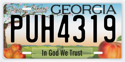 GA license plate PUH4319