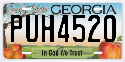 GA license plate PUH4520