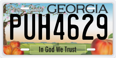 GA license plate PUH4629