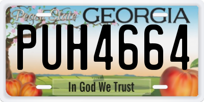 GA license plate PUH4664