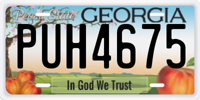 GA license plate PUH4675