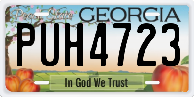 GA license plate PUH4723