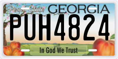 GA license plate PUH4824
