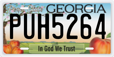 GA license plate PUH5264