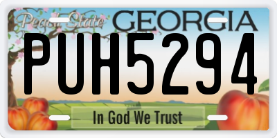 GA license plate PUH5294