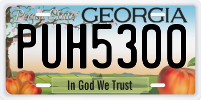 GA license plate PUH5300