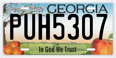GA license plate PUH5307