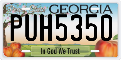 GA license plate PUH5350