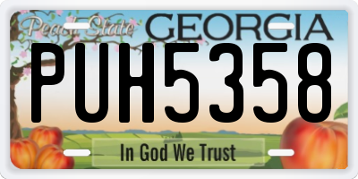 GA license plate PUH5358