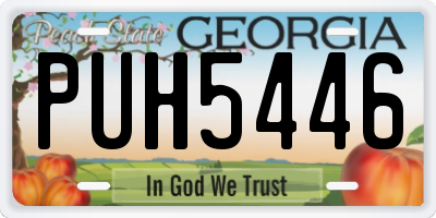 GA license plate PUH5446