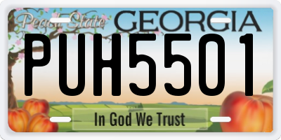 GA license plate PUH5501
