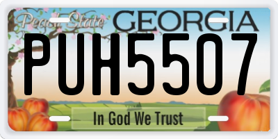 GA license plate PUH5507