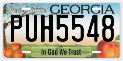 GA license plate PUH5548