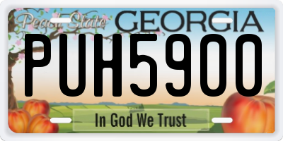 GA license plate PUH5900