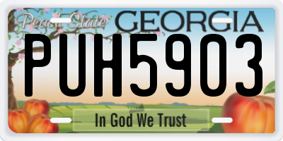 GA license plate PUH5903