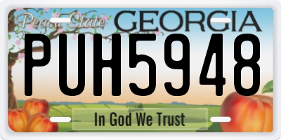 GA license plate PUH5948