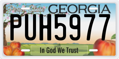 GA license plate PUH5977