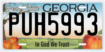 GA license plate PUH5993