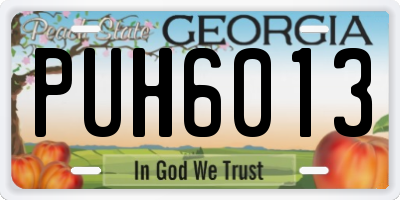 GA license plate PUH6013