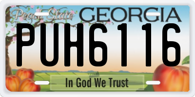 GA license plate PUH6116