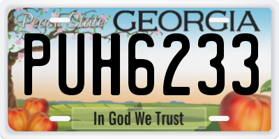 GA license plate PUH6233