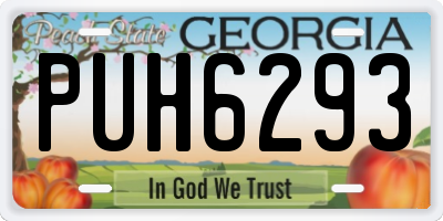 GA license plate PUH6293