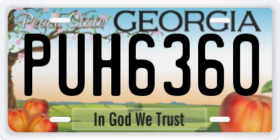 GA license plate PUH6360