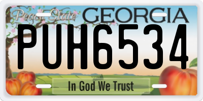 GA license plate PUH6534