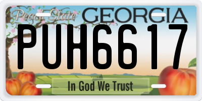 GA license plate PUH6617