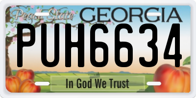 GA license plate PUH6634