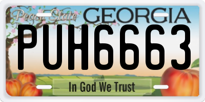 GA license plate PUH6663