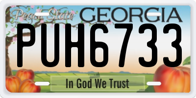 GA license plate PUH6733