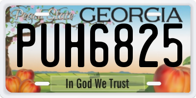 GA license plate PUH6825