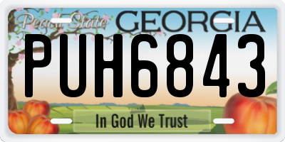 GA license plate PUH6843