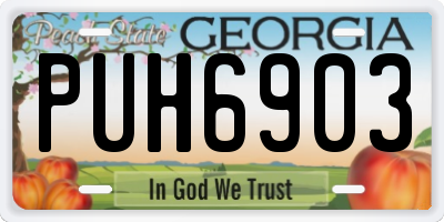 GA license plate PUH6903