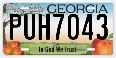GA license plate PUH7043