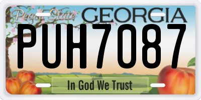 GA license plate PUH7087